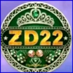 ZD22 Game Logo