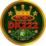 DK222 Game Logo